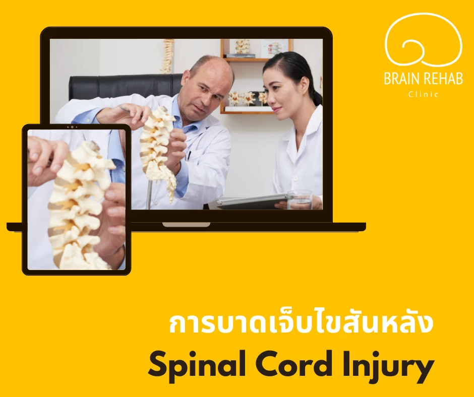 บาดเจ็บไขสันหลัง (Spinal Cord Injury) คืออะไร