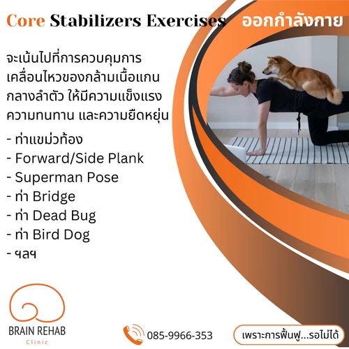 ท่าออกกำลังกายกล้ามเนื้อแกนกลางลำตัว, Core Stabilization Exercises ท่า, Core Stability Exercises ท่า